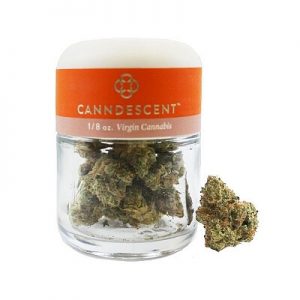 Weed Way - Canndescent Connect