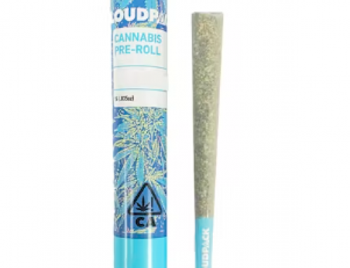 Top 10 Celebrity Cannabis Smokers in USA