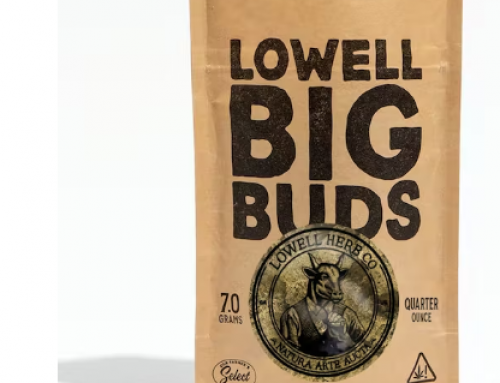 5 “High”ly Successful CEOs Who Took Cannabis!